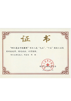 2005年1月MCA高分子促凝劑獲“九五、十五”科技成果獎