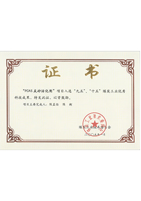 2005年1月PCAS灰砂活化劑獲“九五、十五”科技成果獎